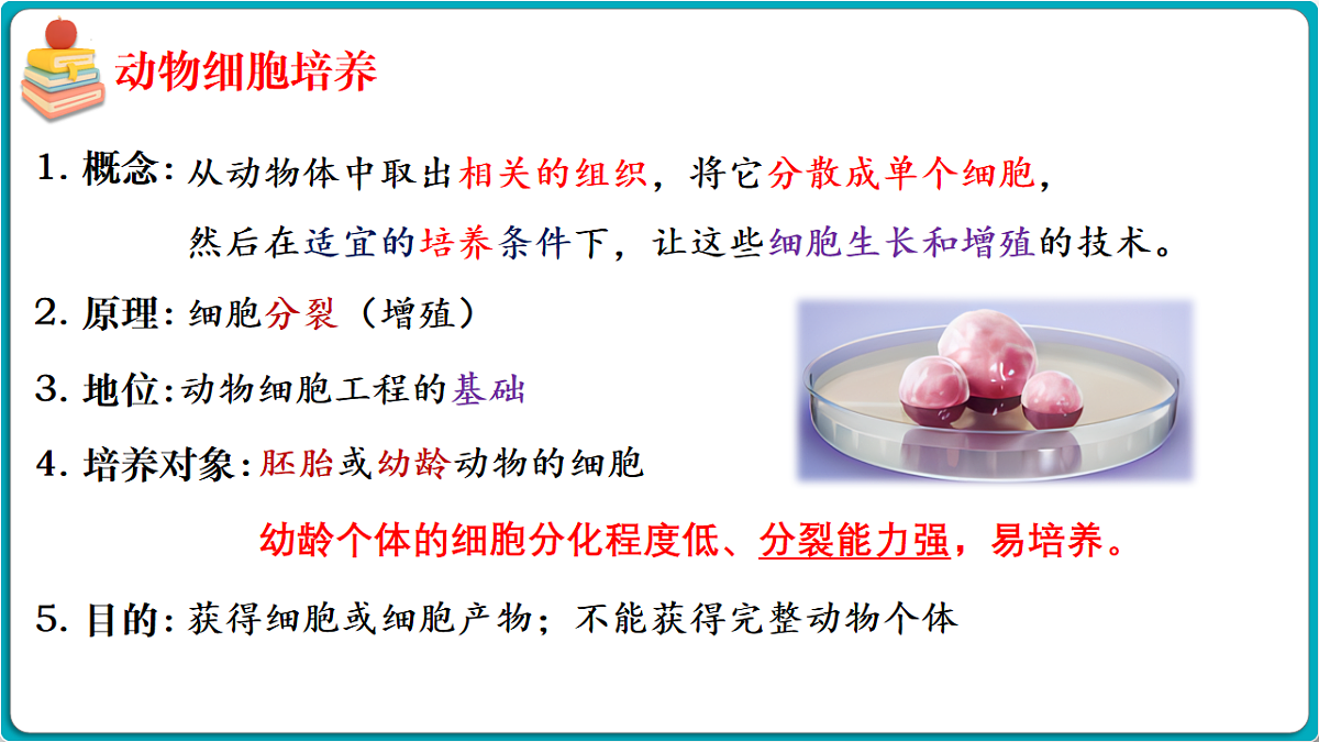 17919749第4页