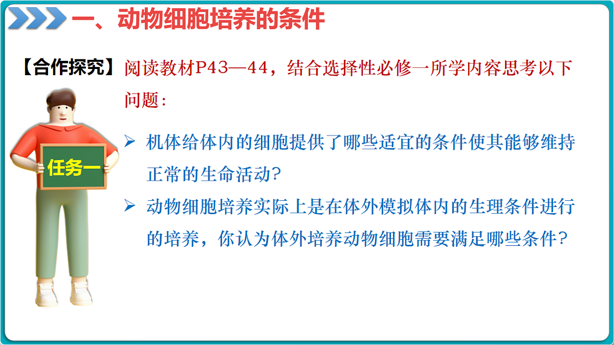 17919749第7页