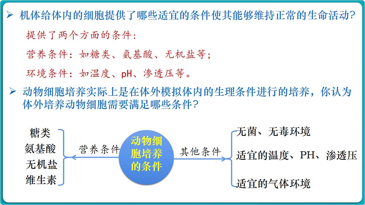 17919749第8页