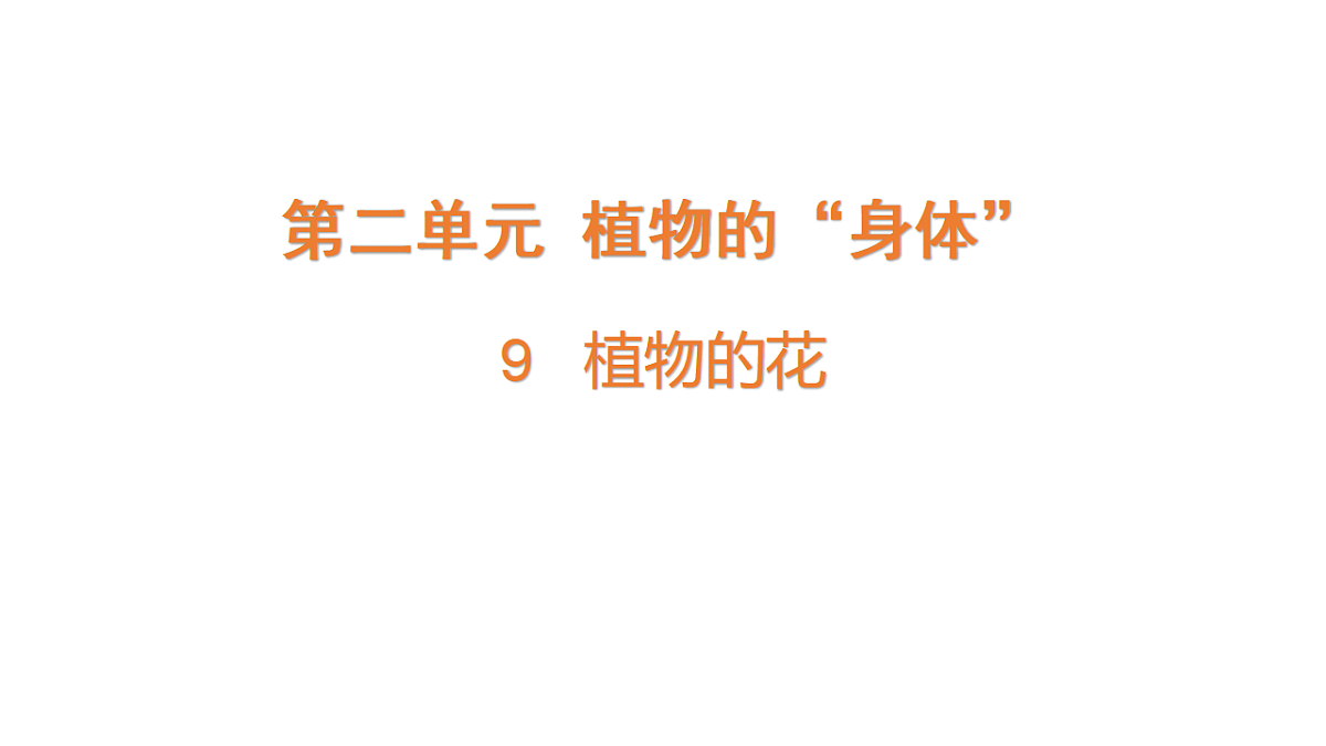 17922396第1页