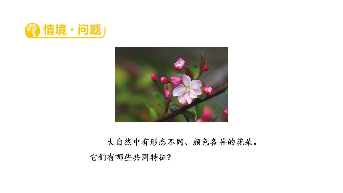 17922396第2页