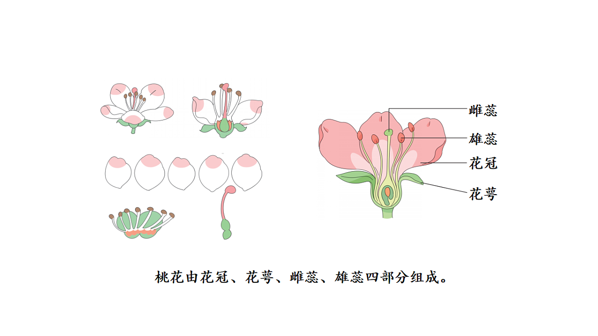 17922396第4页