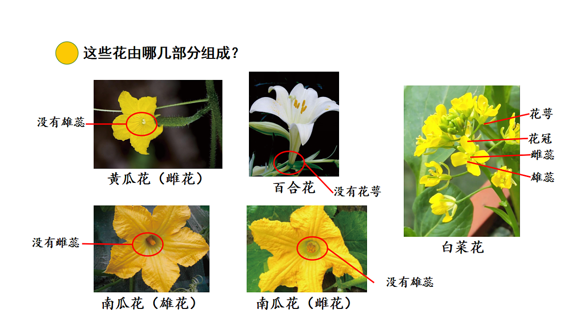 17922396第6页