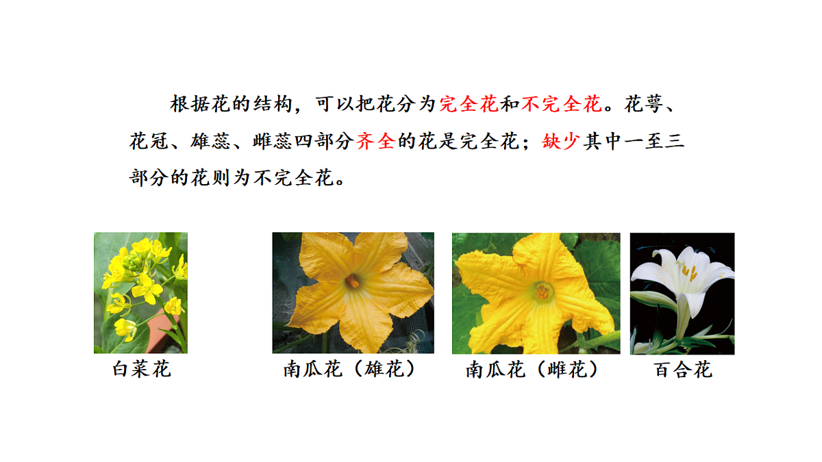 17922396第7页