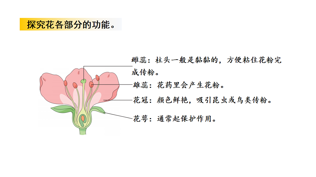 17922396第8页