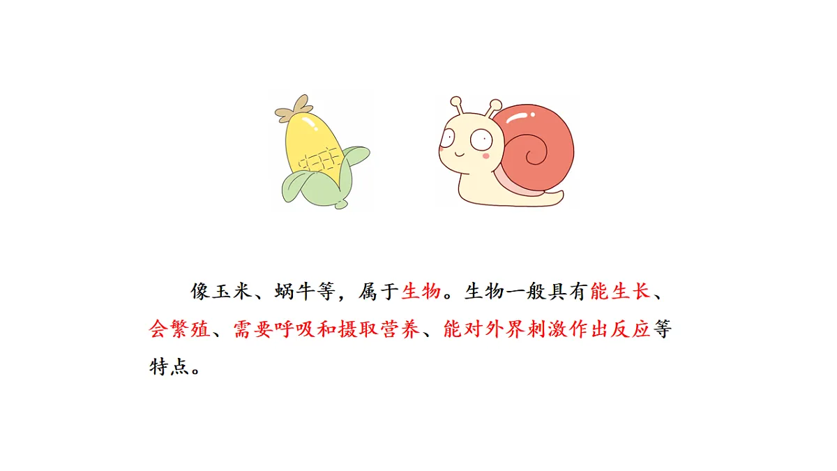 17922400第5页