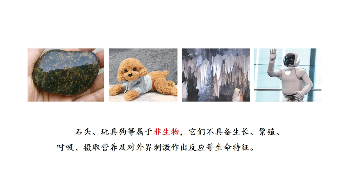 17922400第7页