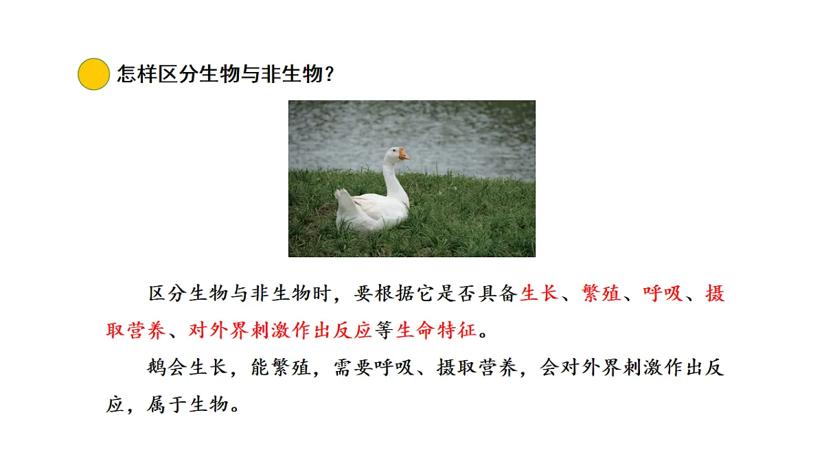 17922400第8页