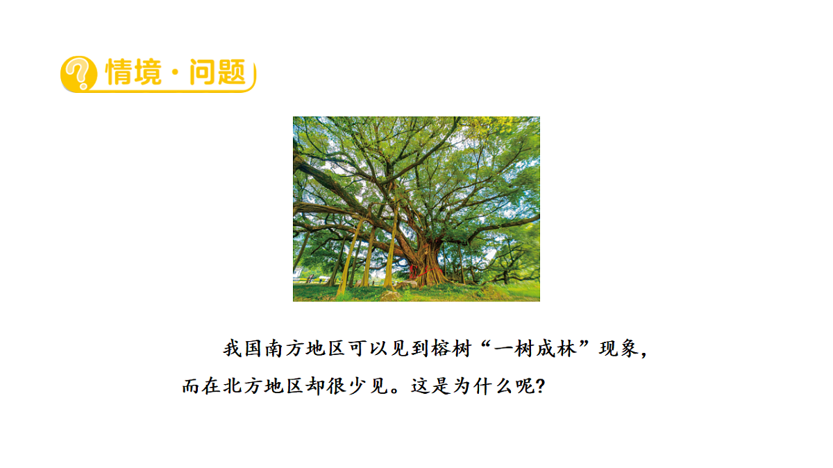 17922401第2页