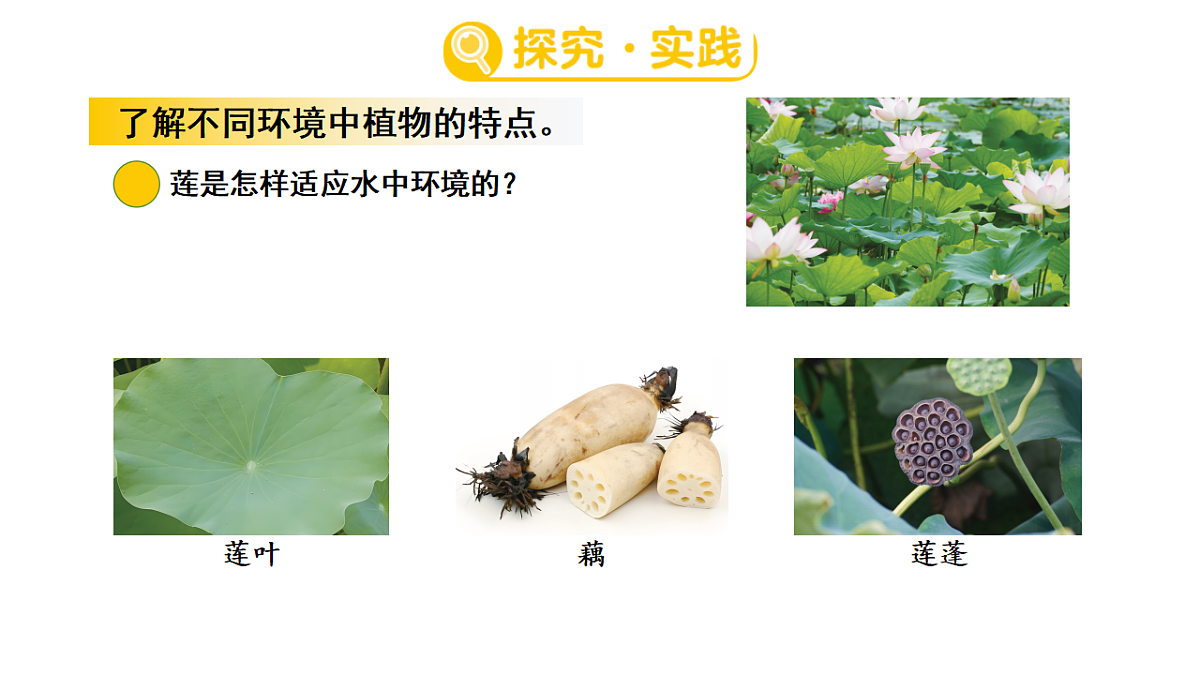 17922401第3页
