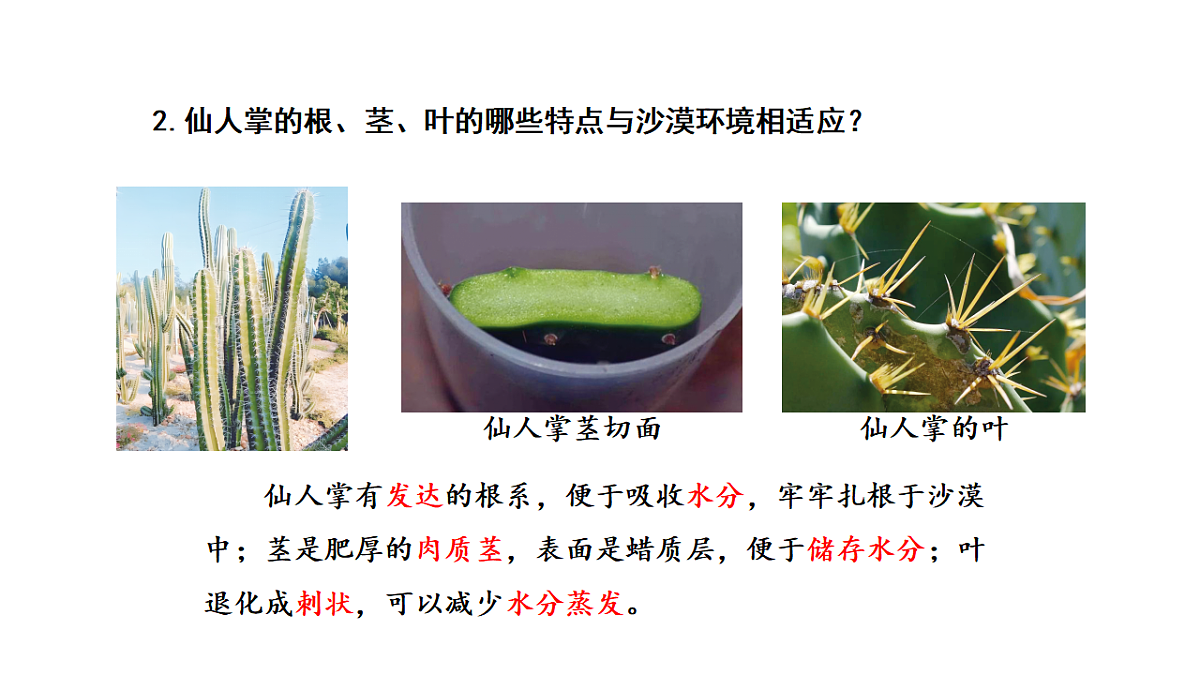 17922401第6页