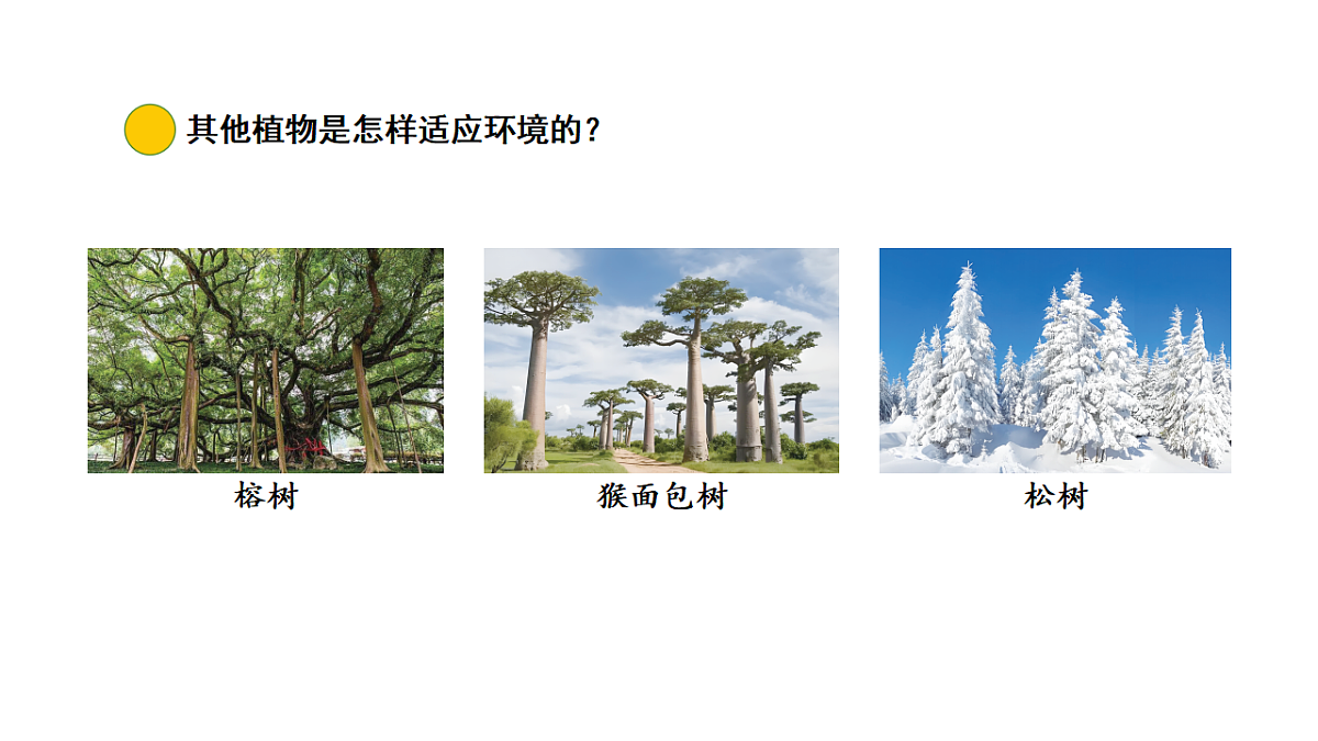17922401第8页