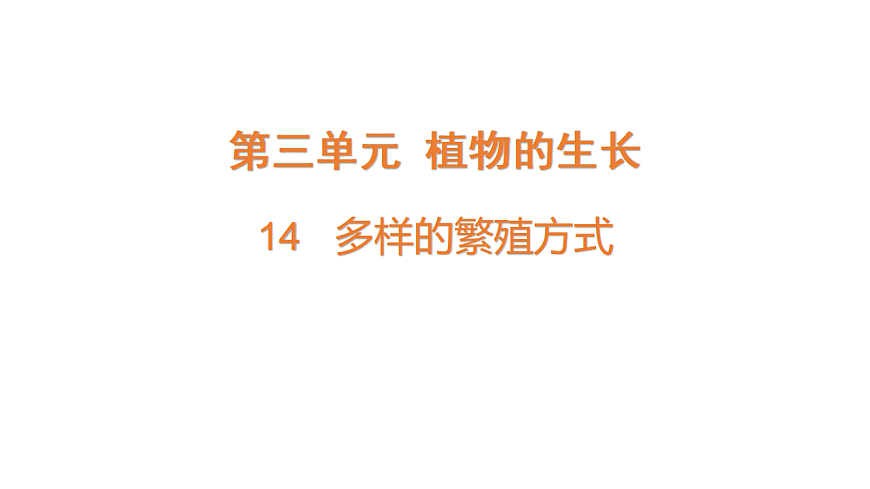 17922402第1页