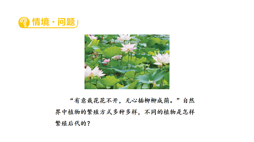 17922402第2页