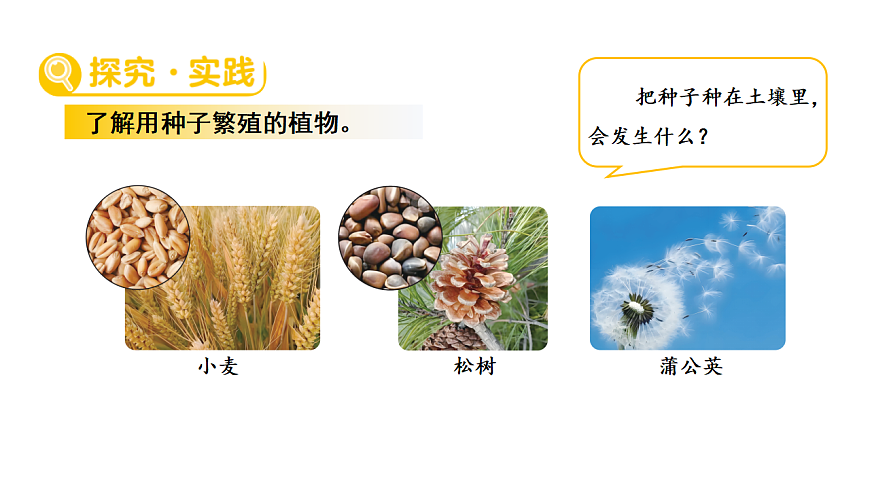17922402第3页