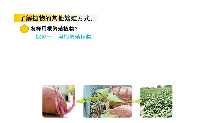 17922402第5页