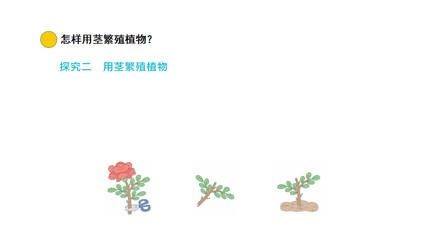 17922402第6页