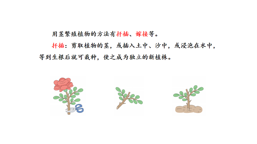 17922402第7页