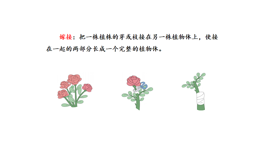 17922402第8页