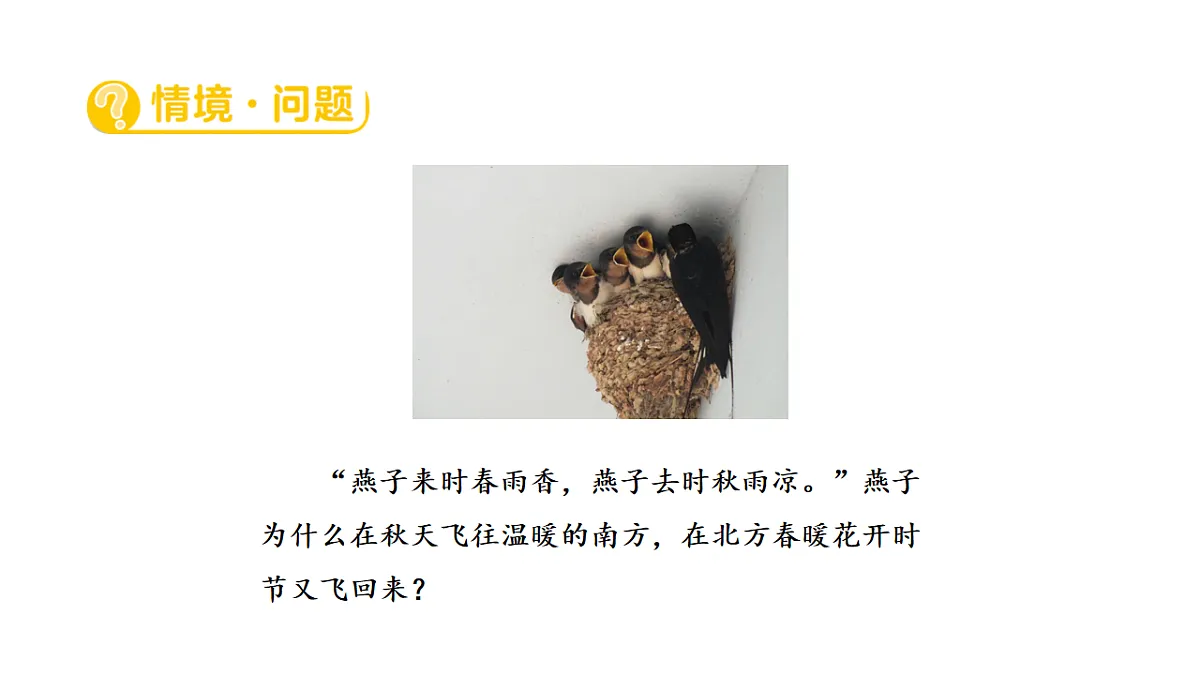 17922412第2页