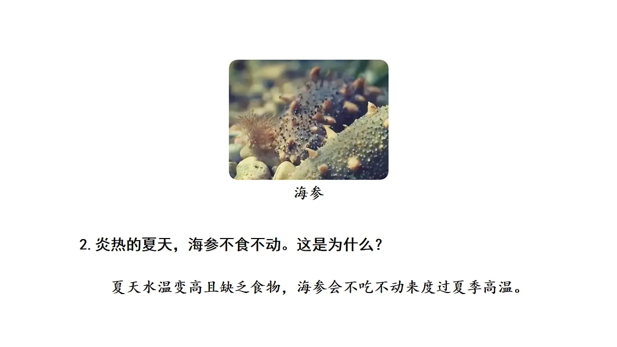 17922412第4页
