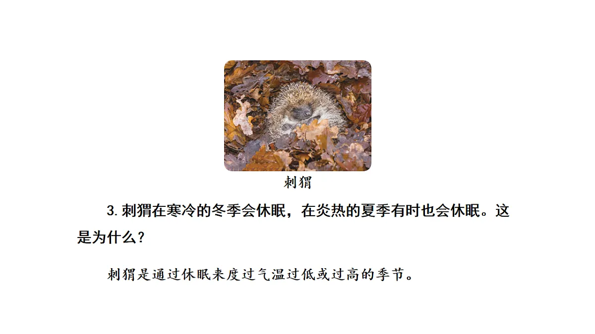 17922412第5页