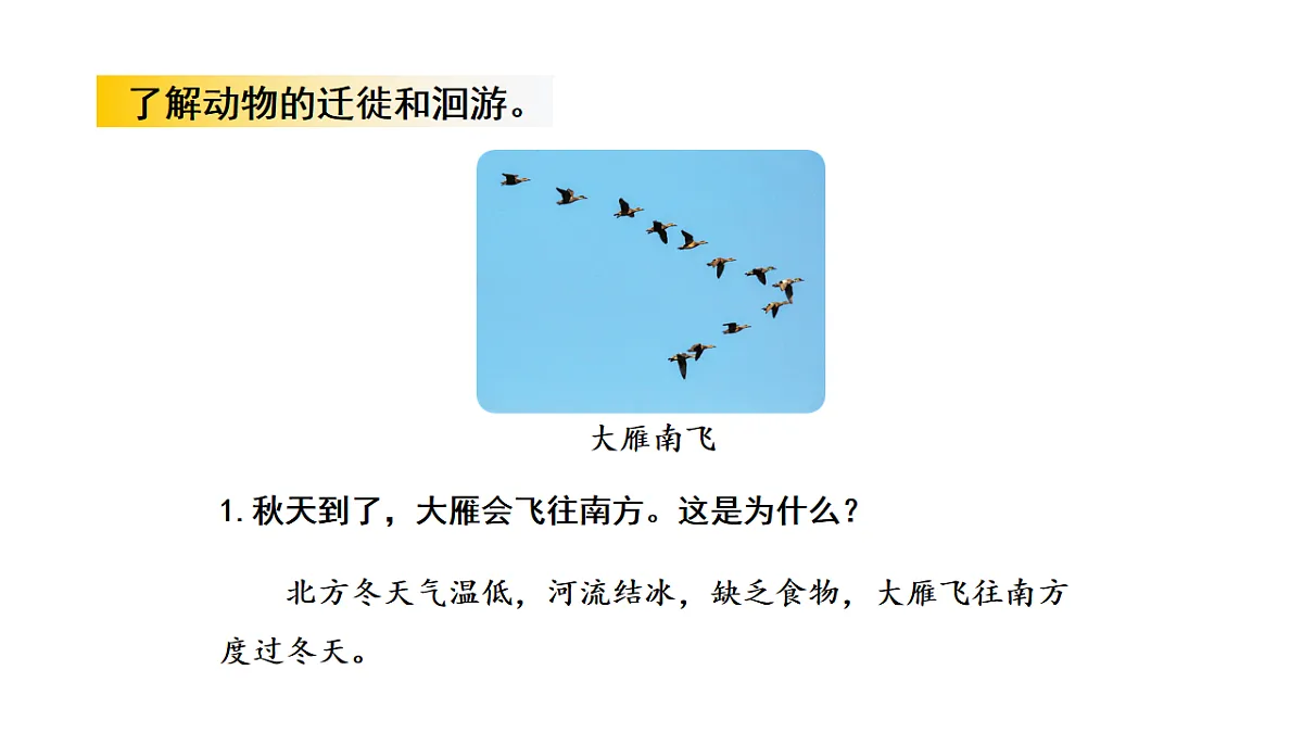 17922412第7页