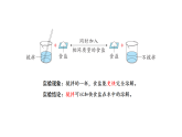 2026年青岛版（63制）三年级科学下册 6 怎样加快溶解（课件）