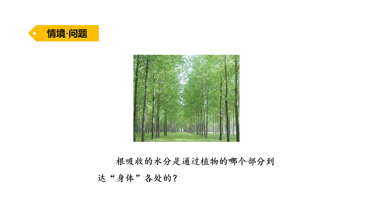 17922428第2页
