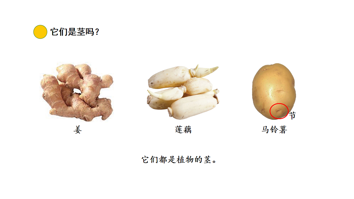 17922428第5页