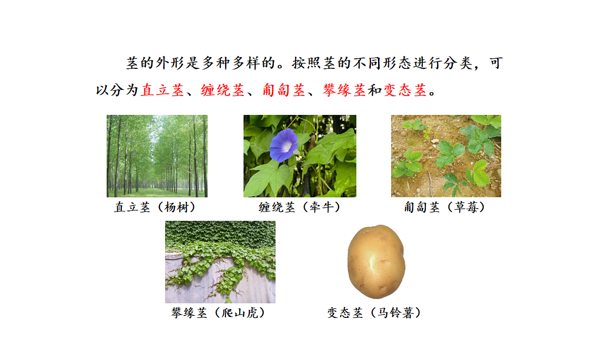 17922428第6页