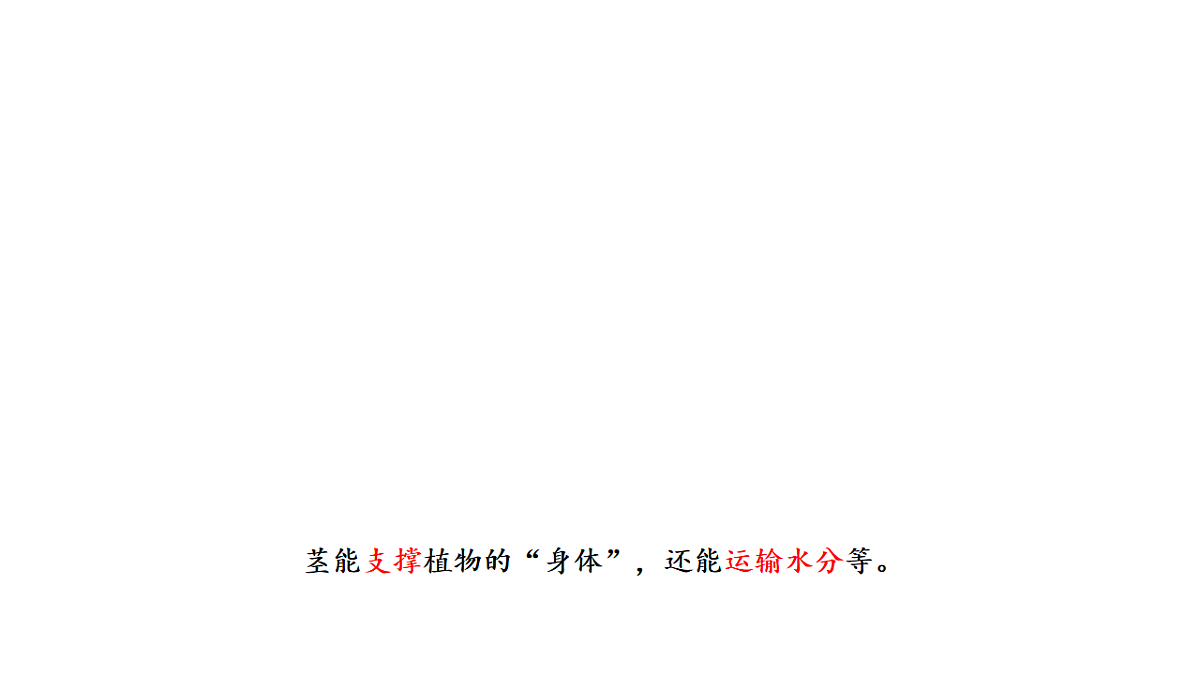17922428第8页