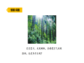 2026年青岛版（63制）三年级科学下册 12.植物的叶（课件）
