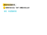 2026年青岛版（63制）三年级科学下册 12.植物的叶（课件）