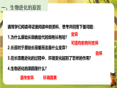 6.3.3生物进化的原因（课件）--2025-2026学年(新教材）冀少版生物八年级下册