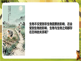 7.1.2.1生物因素对生物的影响（课件）--2025-2026学年(新教材）冀少版生物八年级下册
