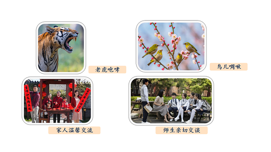 17922572第3页