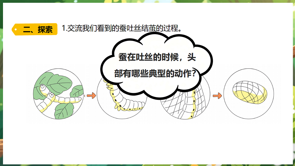 17922644第5页
