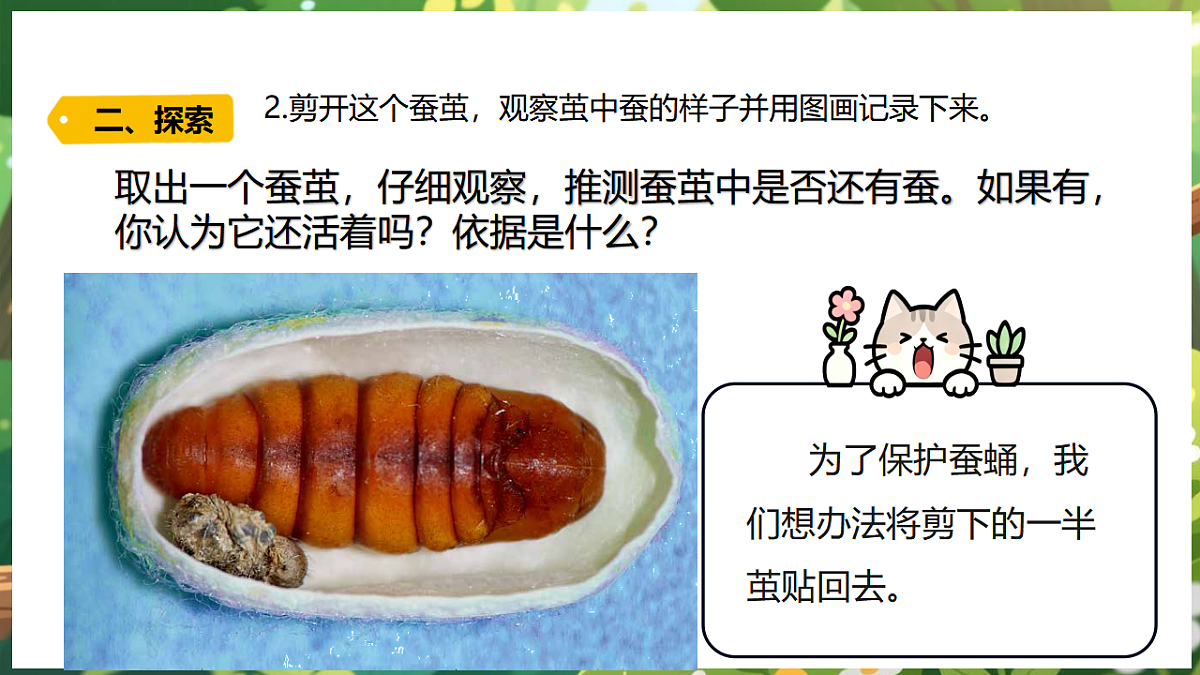 17922644第7页