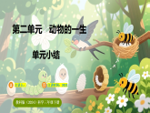 教科版（2024）科学三年级下册 第二单元   动物的一生 单元小结（课件）