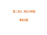 2026年粤教版三年级科学下册 第二单元 消化与呼吸 小结(课件)
