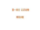 2026年粤教版三年级科学下册 第一单元 认识动物  小结(课件)