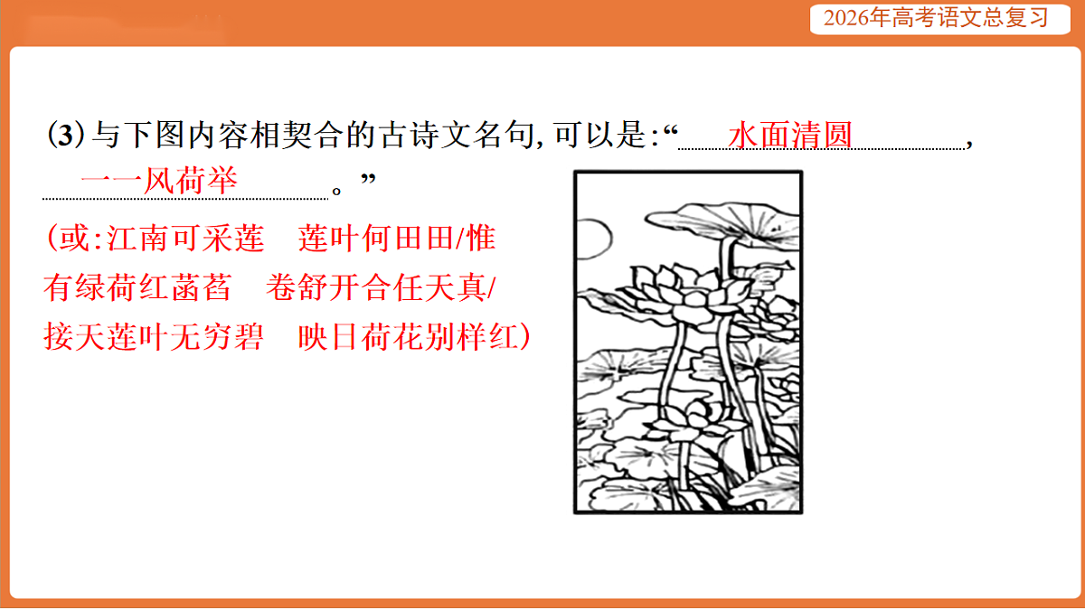 17923009第8页