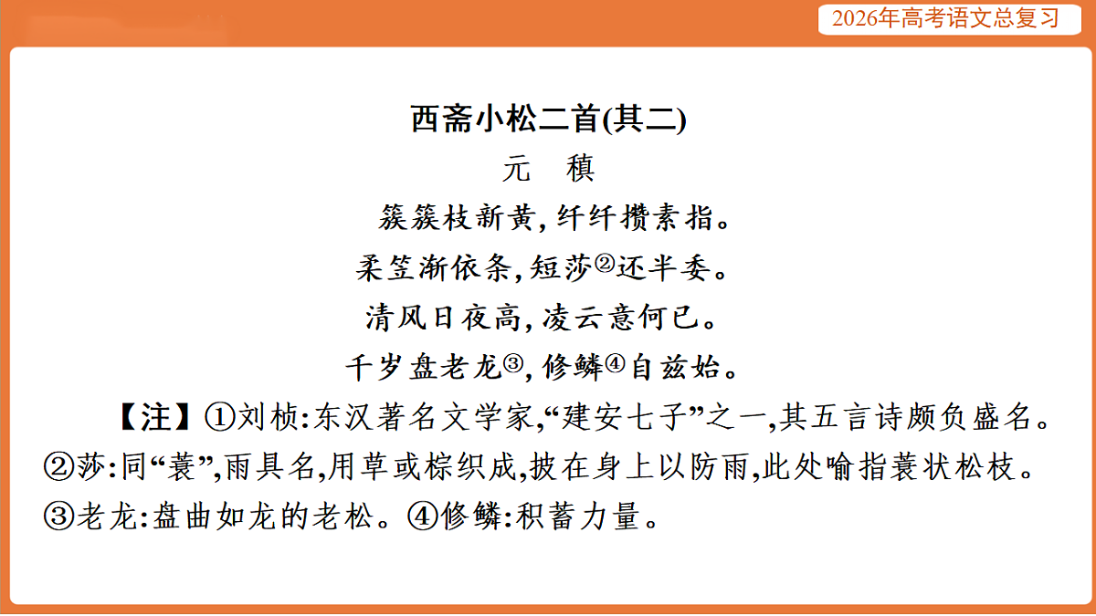 17923028第8页