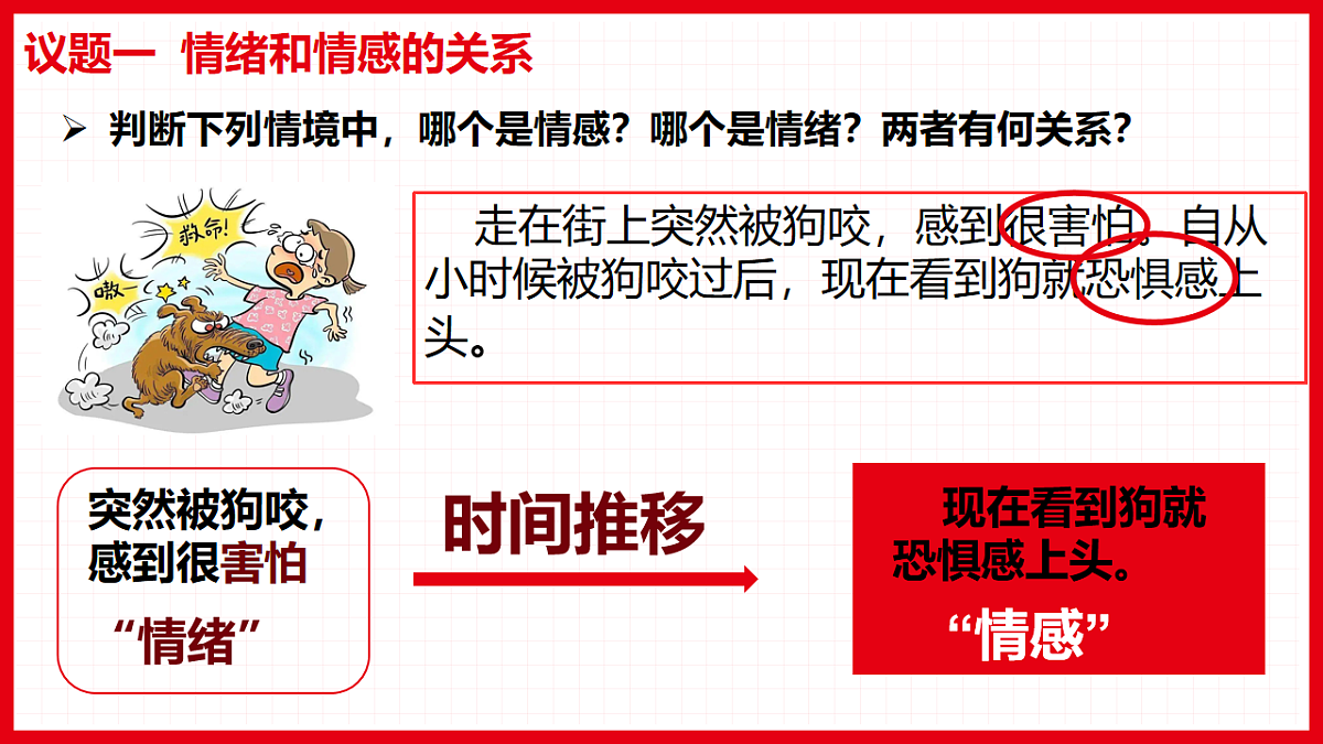 17923046第3页