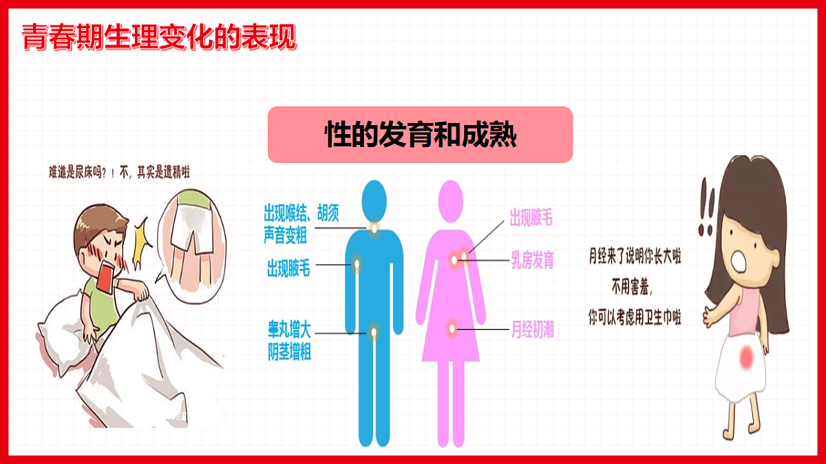 17923053第7页