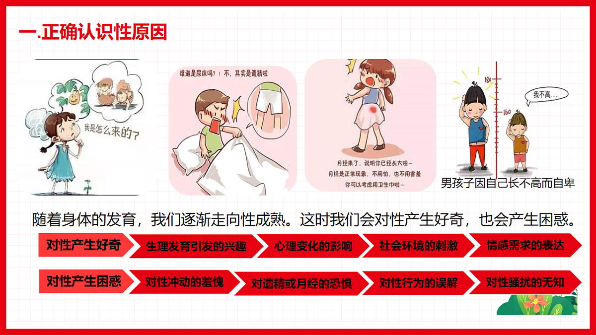 17923055第5页