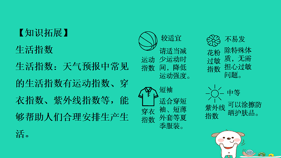 17923121第8页