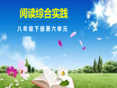 八下第六单元《阅读综合实践》课件