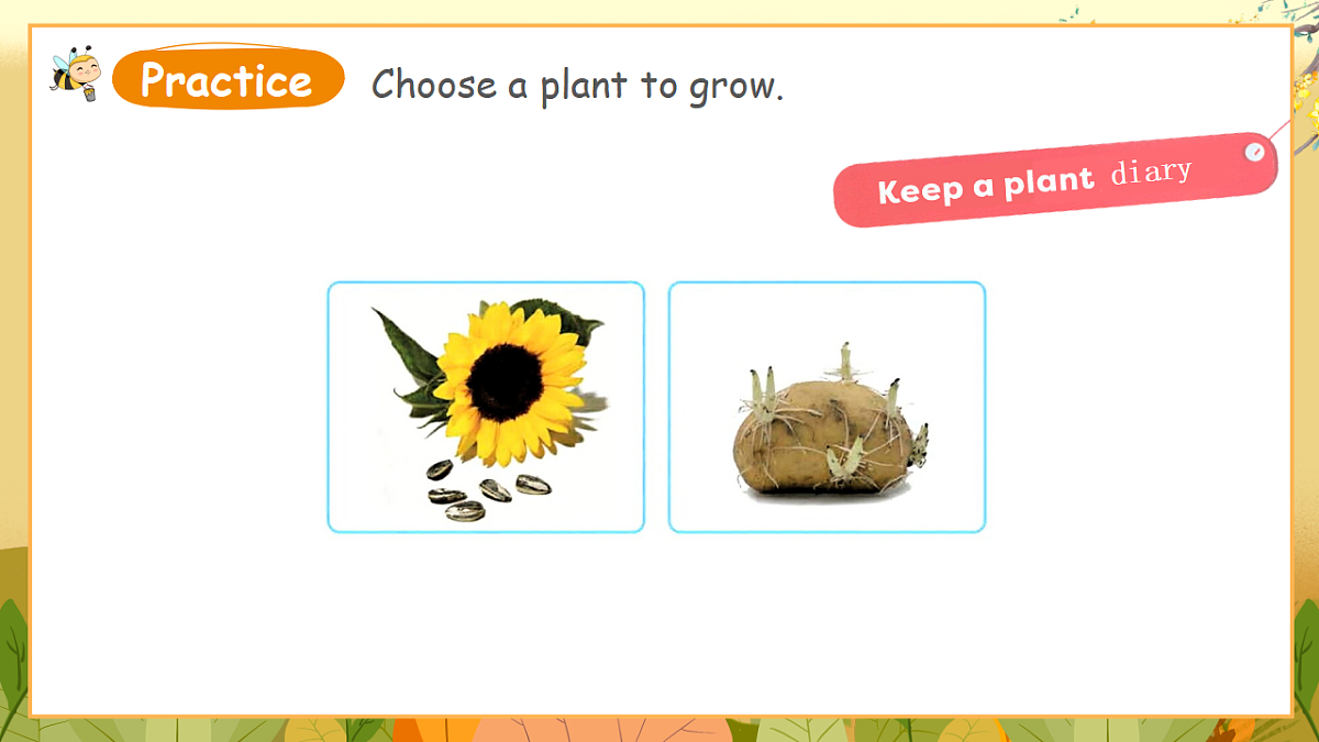外研版（三起）英语四下 U4《Plant life》第5课时 Hit it big&Wrap up&Let's explore 课件第4页